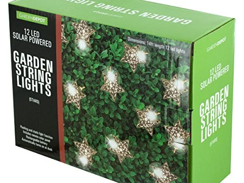 lightsdaddy934948