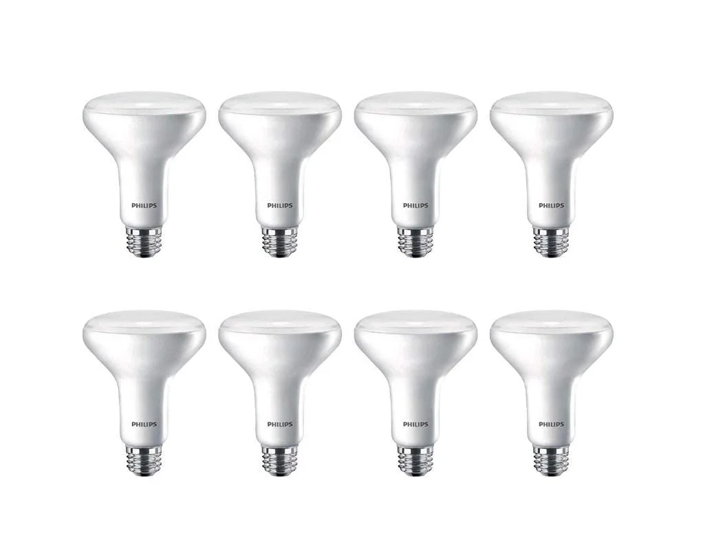 lightsdaddy941932