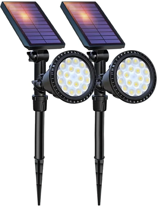 lightsdaddy944459