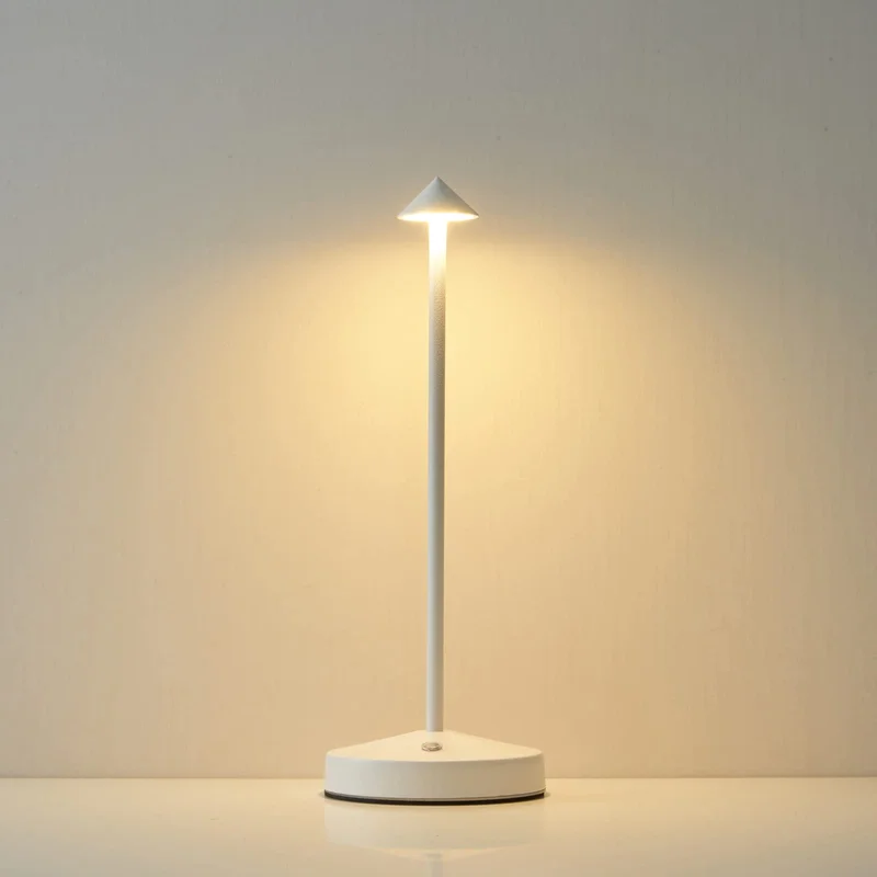 lightsdaddy97655