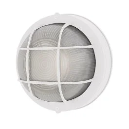 superbrightleds101529
