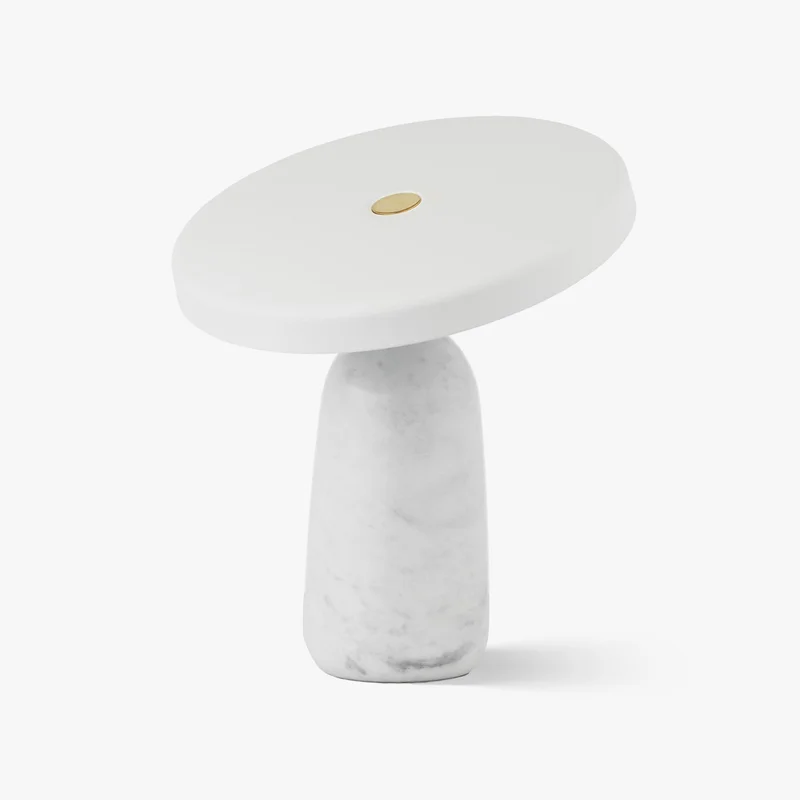 vakkerlight100318
