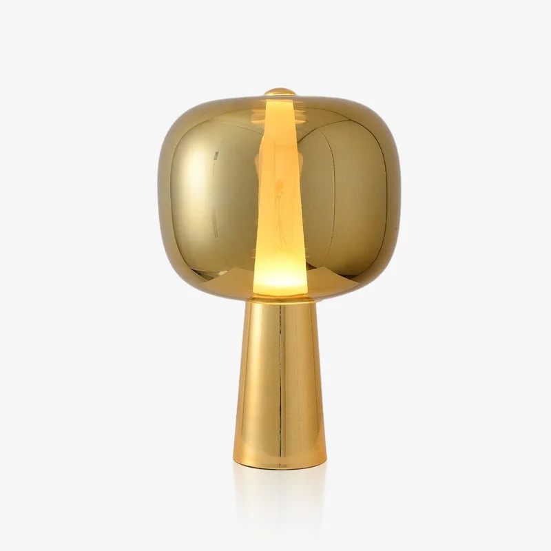 vakkerlight100329