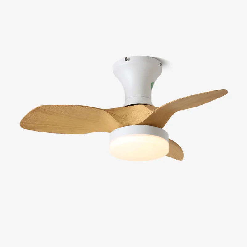 vakkerlight145496